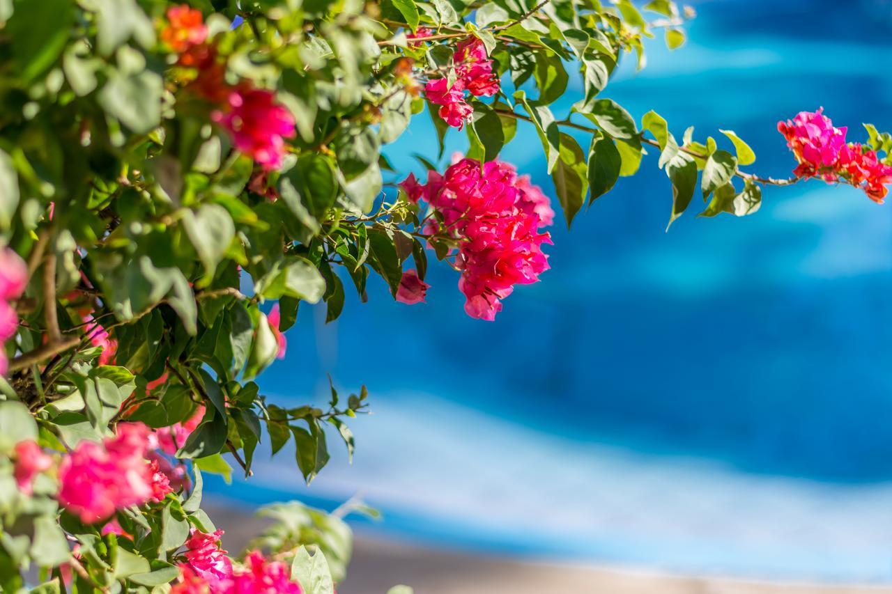 Hotel Colinas Del Sol Atenas Εξωτερικό φωτογραφία