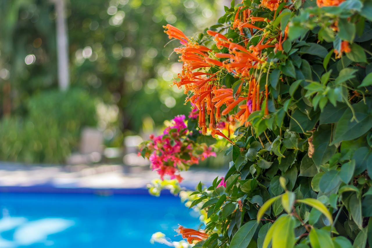 Hotel Colinas Del Sol Atenas Εξωτερικό φωτογραφία