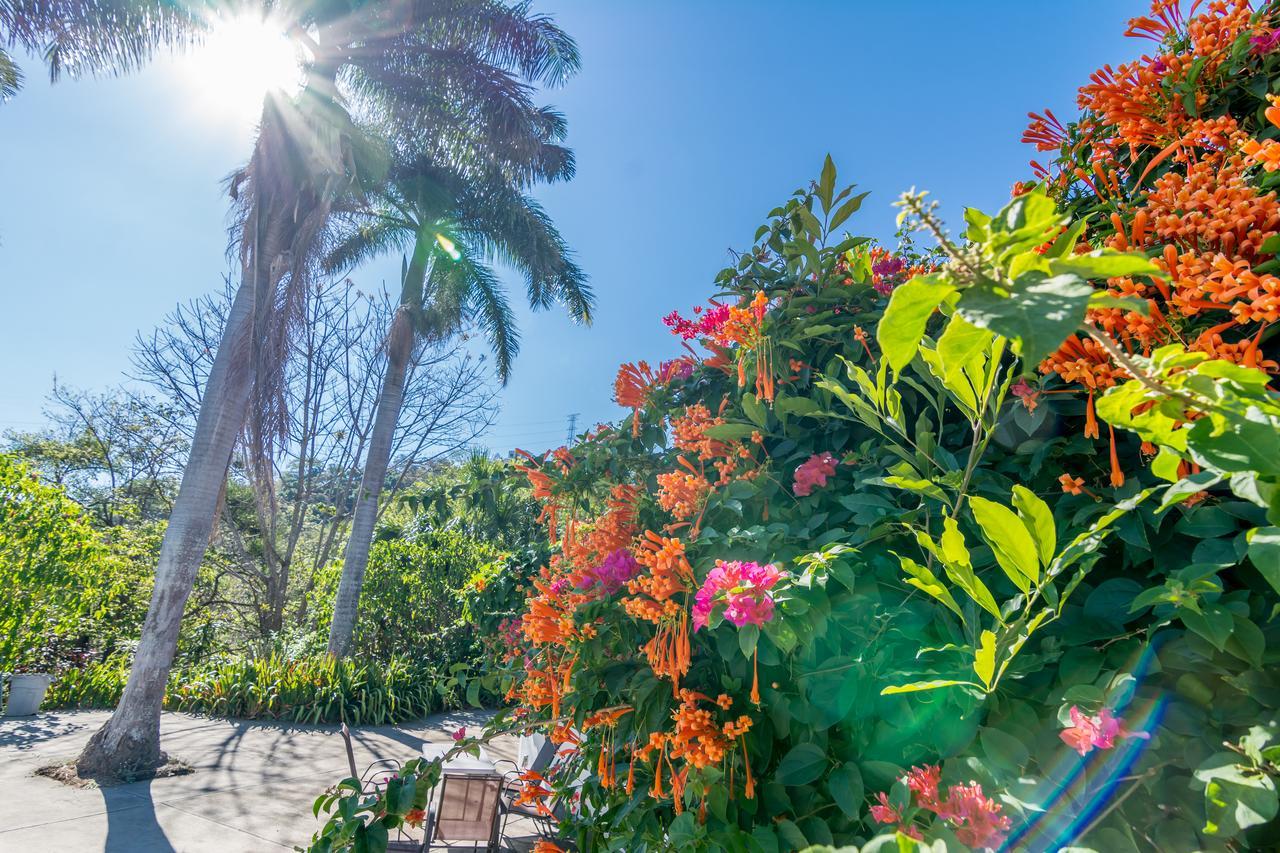 Hotel Colinas Del Sol Atenas Εξωτερικό φωτογραφία